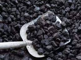 Coal India's FY24 Contribution To Government Exchequer Up 6.4%