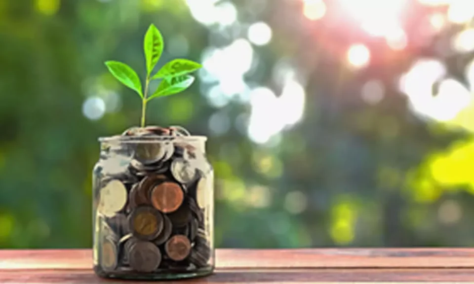 Over Half of Indian Equity Large-Cap funds underperformed their benchmark in 2023