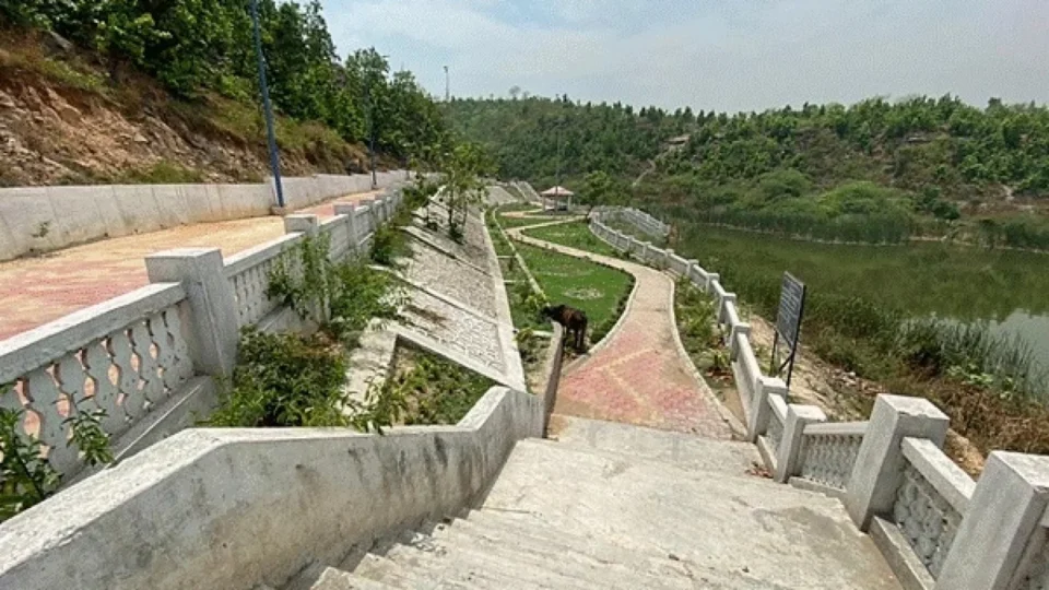 SECL launches campaign to convert de-zoned land into eco park