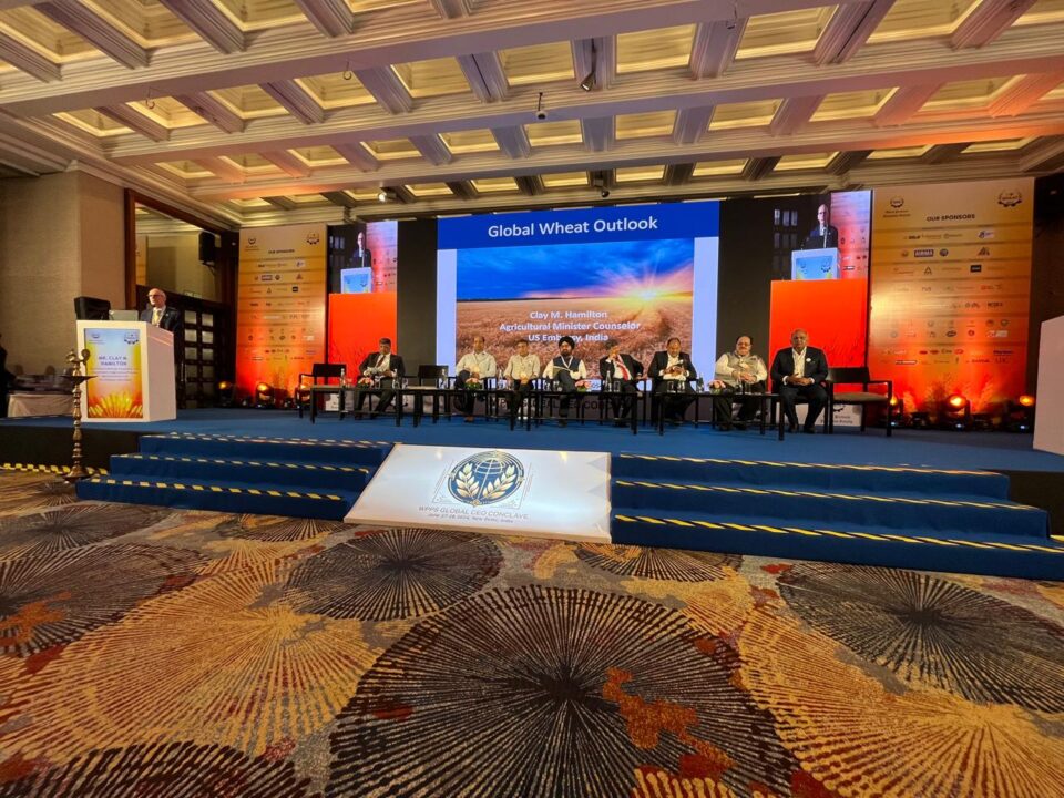Addressing Wheat Industry Challenges with Innovation: Ajay Goyal