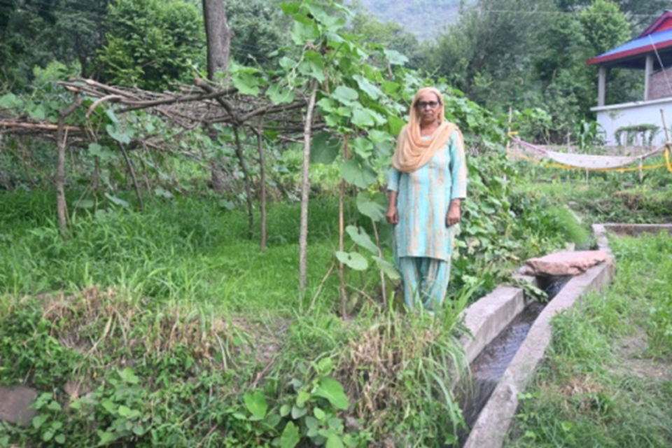 Adani Foundation at ACC Gagal boosts agricultural produce for rural farmers in Himachal Pradesh