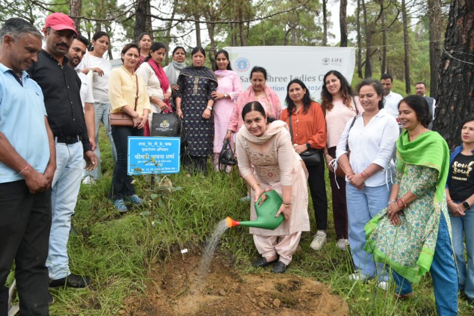  SJVN organized a large-scale tree plantation drive