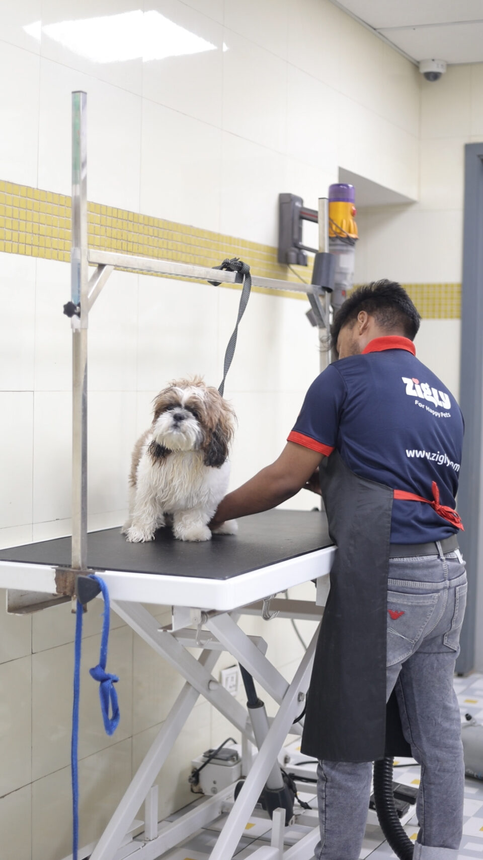 'The Grooming Fest' by Zigly Promotes Pet Health and Hygiene