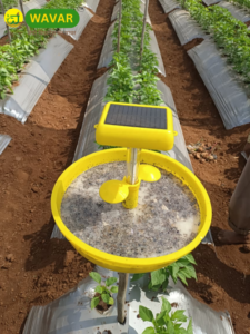 Agritech Start-Up Wavar's IPM Solutions Benefit Farmers across India