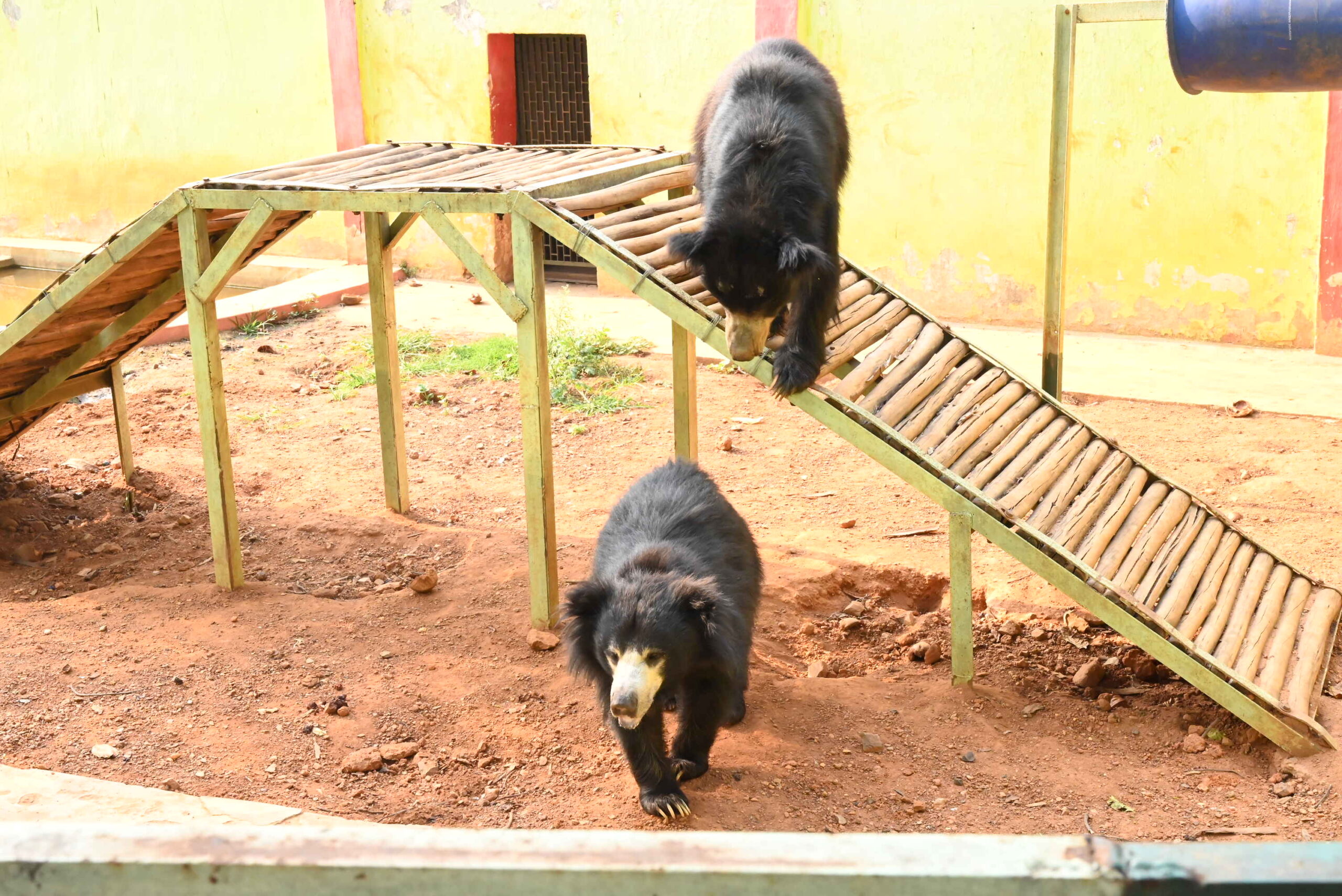 Rourkela Steel Plant steps up Summer Care for Zoo Inhabitants at Indira Gandhi Park  