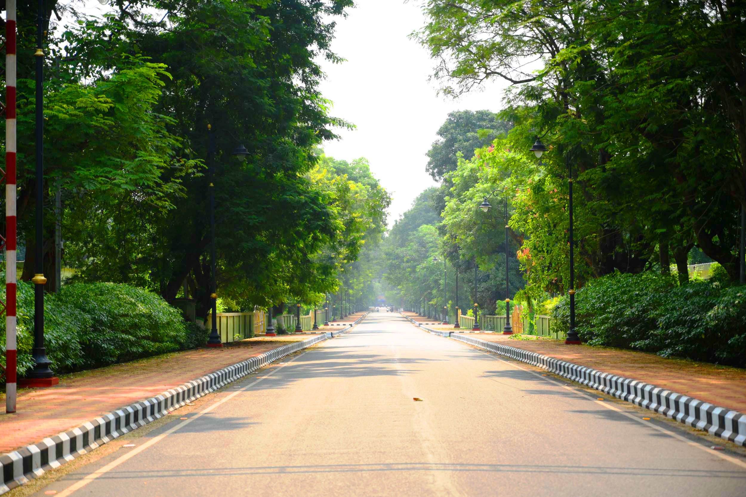 Our aim Green Steelmaking: RSP's Pledge on World Environment Day