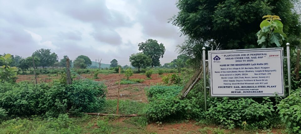 SAIL Rourkela Steel Plant under its CSR Initiative Develops Fruit Orchard