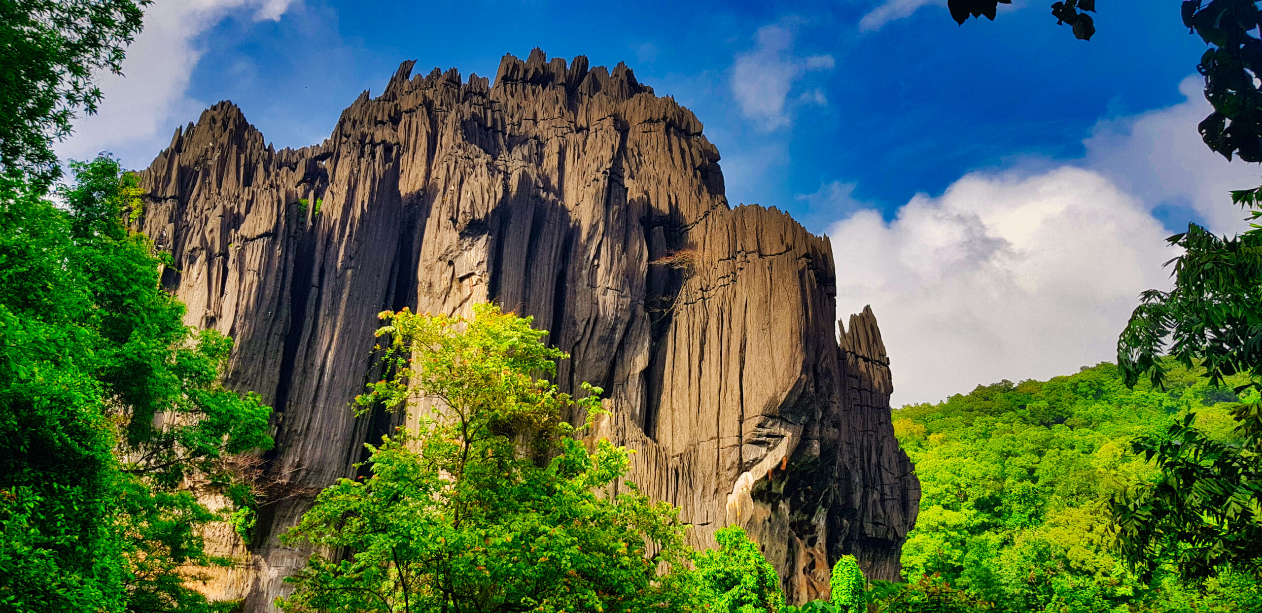 Karnataka Tourism Set to Highlight State’s Rich Diversity at IITM Chennai 2025