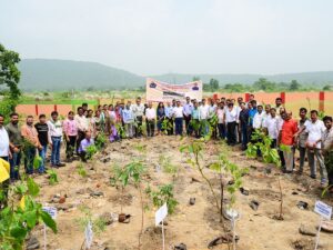 NTPC Talcher Kaniha planted 6000 trees in tree plantation program