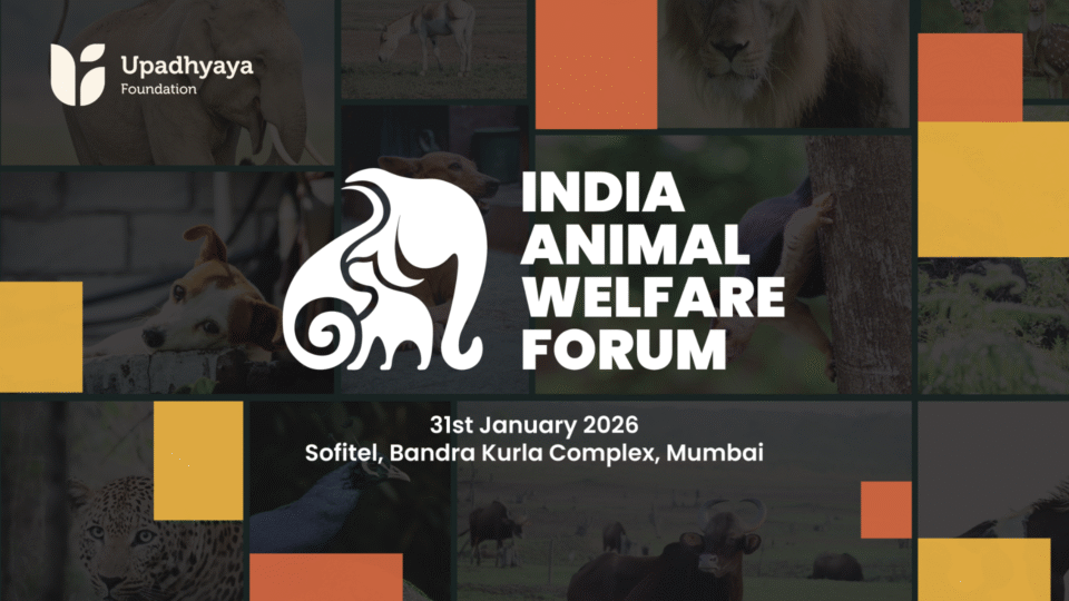 India Animal Welfare Forum 2026