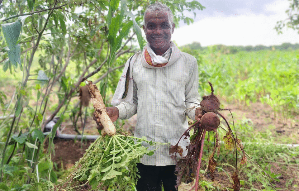 Regenerative Agriculture Study Maharashtra
