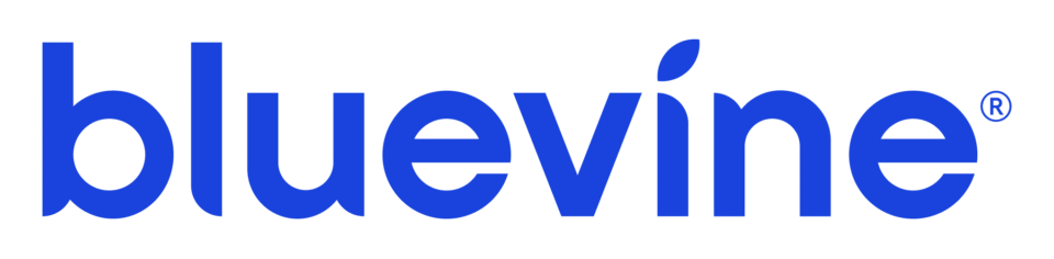 Bluevine launches U.S. business banking solutions for India
