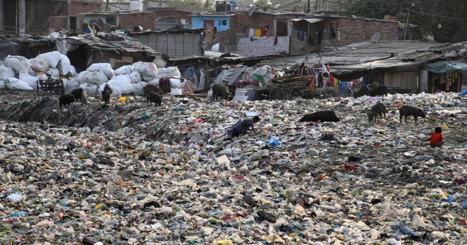 Delhi High Court garbage dumping fine